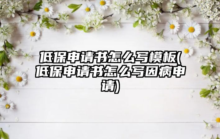 低保申請書怎么寫模板(低保申請書怎么寫因病申請)