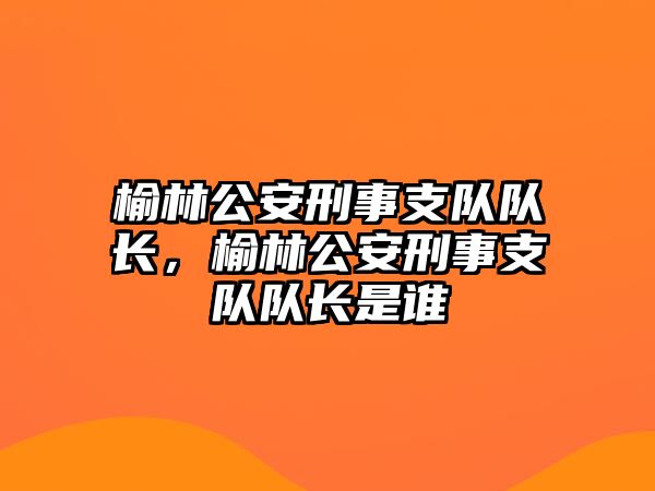 榆林公安刑事支隊隊長，榆林公安刑事支隊隊長是誰