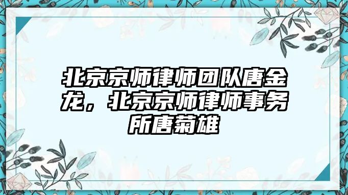 北京京師律師團隊唐金龍，北京京師律師事務所唐菊雄