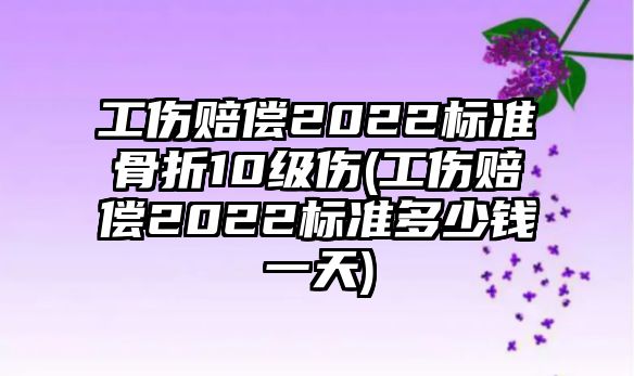 工傷賠償2022標準骨折10級傷(工傷賠償2022標準多少錢一天)