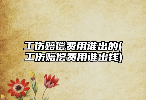 工傷賠償費用誰出的(工傷賠償費用誰出錢)