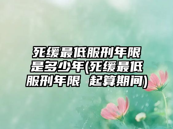 死緩最低服刑年限是多少年(死緩最低服刑年限 起算期間)