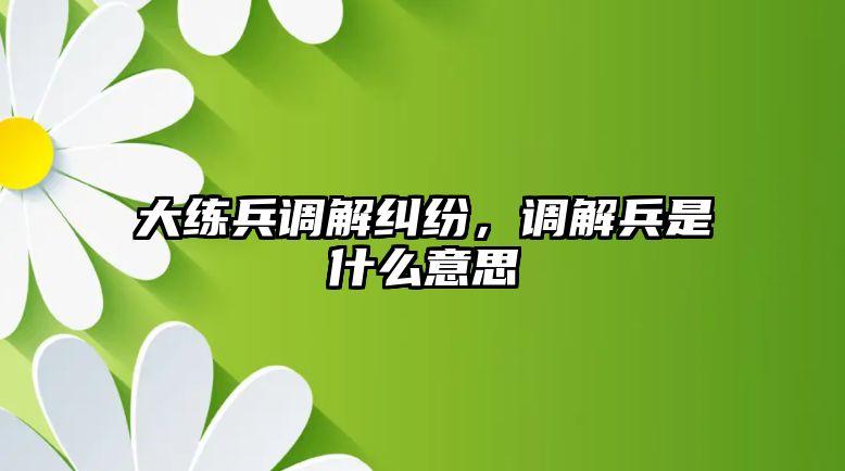 大練兵調解糾紛，調解兵是什么意思