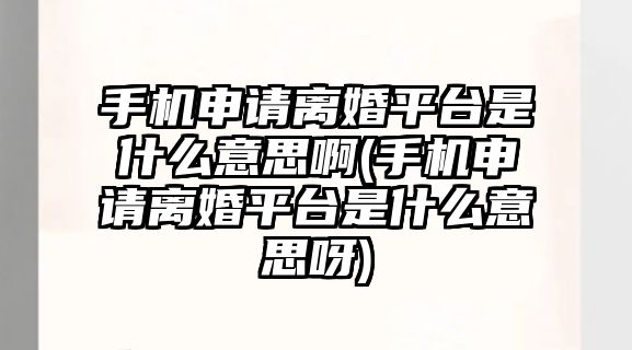 手機申請離婚平臺是什么意思啊(手機申請離婚平臺是什么意思呀)