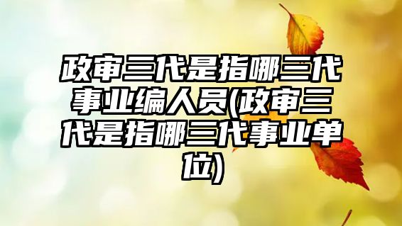 政審三代是指哪三代事業(yè)編人員(政審三代是指哪三代事業(yè)單位)