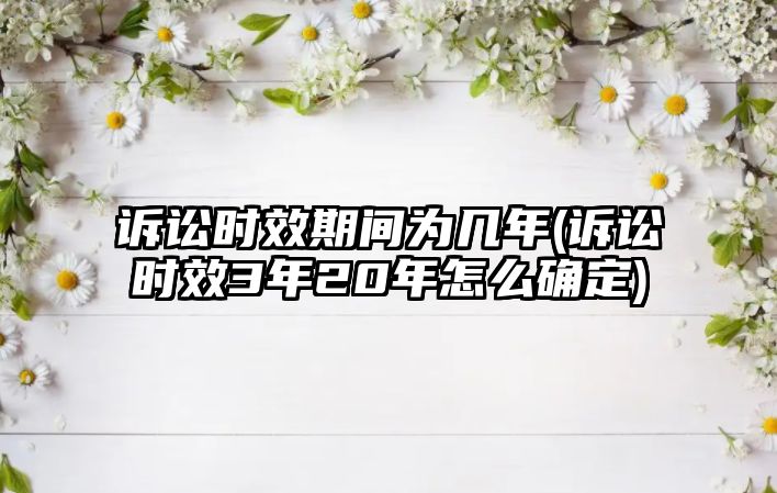 訴訟時效期間為幾年(訴訟時效3年20年怎么確定)