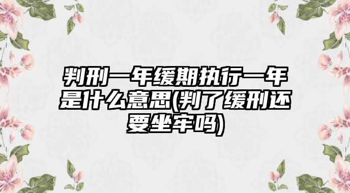 判刑一年緩期執行一年是什么意思(判了緩刑還要坐牢嗎)