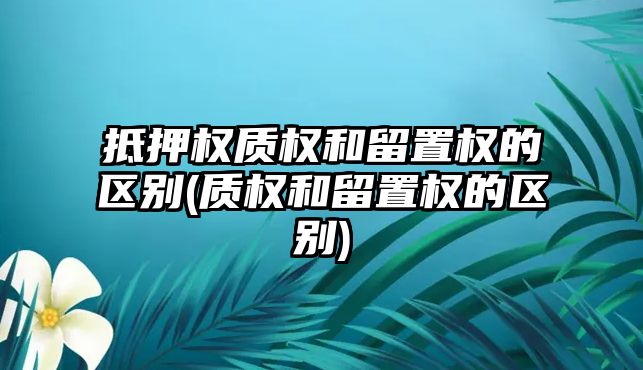 抵押權質權和留置權的區(qū)別(質權和留置權的區(qū)別)