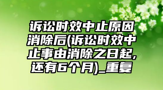 訴訟時效中止原因消除后(訴訟時效中止事由消除之日起,還有6個月)_重復