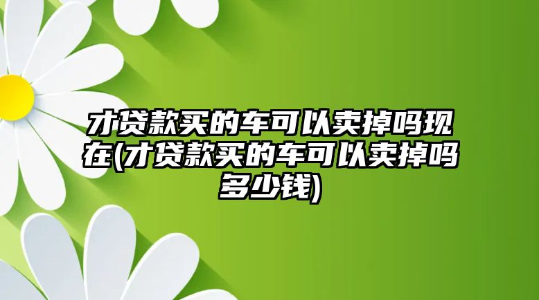 才貸款買的車可以賣掉嗎現(xiàn)在(才貸款買的車可以賣掉嗎多少錢)