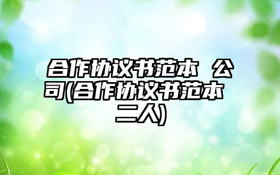 合作協(xié)議書范本 公司(合作協(xié)議書范本 二人)