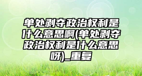 單處剝奪政治權利是什么意思啊(單處剝奪政治權利是什么意思呀)_重復