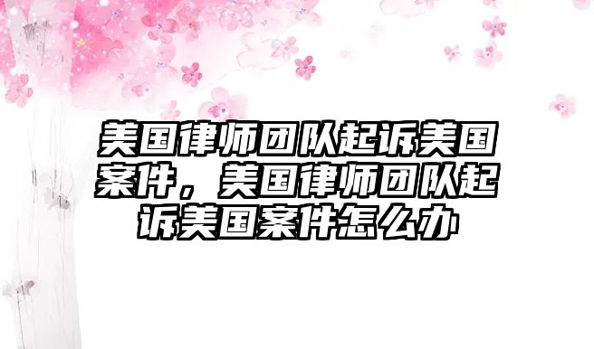 美國律師團隊起訴美國案件，美國律師團隊起訴美國案件怎么辦