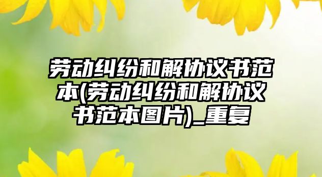 勞動糾紛和解協議書范本(勞動糾紛和解協議書范本圖片)_重復