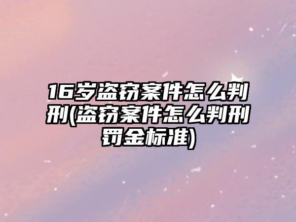 16歲盜竊案件怎么判刑(盜竊案件怎么判刑罰金標準)