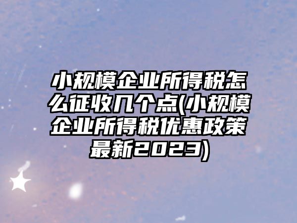 小規模企業所得稅怎么征收幾個點(小規模企業所得稅優惠政策最新2023)