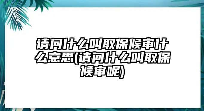 請問什么叫取保候審什么意思(請問什么叫取保候審呢)