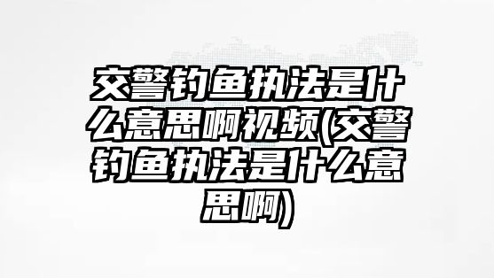 交警釣魚執法是什么意思啊視頻(交警釣魚執法是什么意思啊)