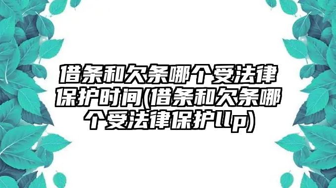 借條和欠條哪個受法律保護時間(借條和欠條哪個受法律保護llp)