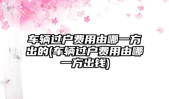 車輛過戶費用由哪一方出的(車輛過戶費用由哪一方出錢)