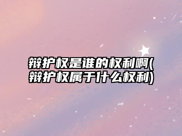 辯護權是誰的權利啊(辯護權屬于什么權利)