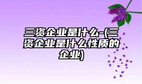 三資企業是什么-(三資企業是什么性質的企業)