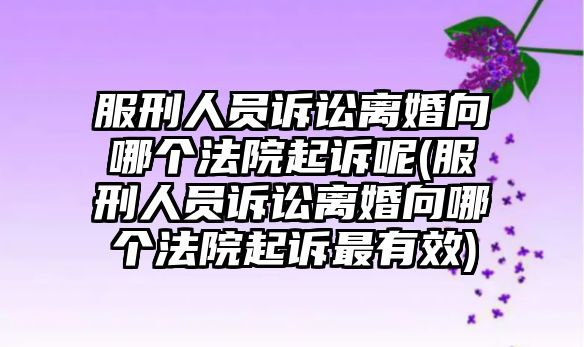 服刑人員訴訟離婚向哪個法院起訴呢(服刑人員訴訟離婚向哪個法院起訴最有效)