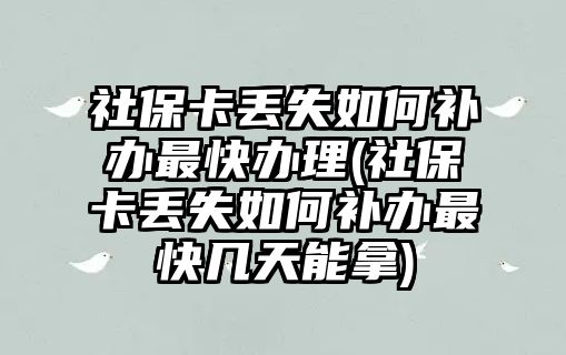 社保卡丟失如何補辦最快辦理(社保卡丟失如何補辦最快幾天能拿)