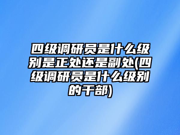 四級調研員是什么級別是正處還是副處(四級調研員是什么級別的干部)