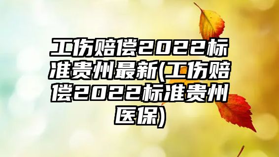 工傷賠償2022標準貴州最新(工傷賠償2022標準貴州醫保)