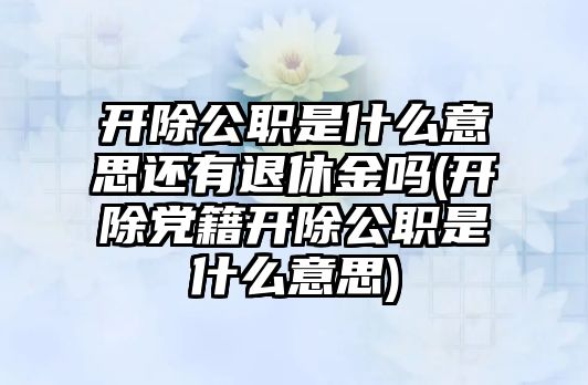 開除公職是什么意思還有退休金嗎(開除黨籍開除公職是什么意思)