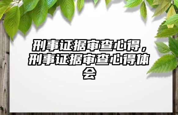 刑事證據審查心得，刑事證據審查心得體會