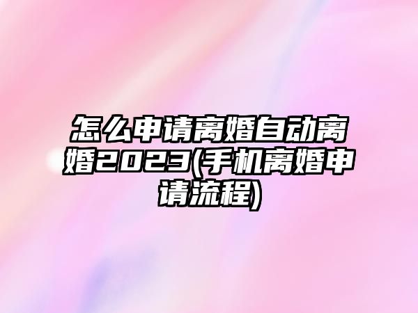 怎么申請離婚自動離婚2023(手機離婚申請流程)