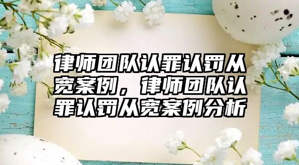 律師團隊認罪認罰從寬案例，律師團隊認罪認罰從寬案例分析