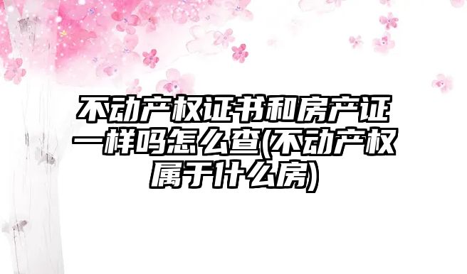 不動產權證書和房產證一樣嗎怎么查(不動產權屬于什么房)