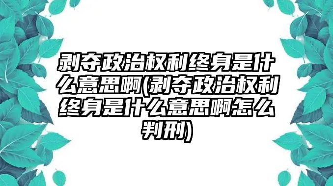 剝奪政治權(quán)利終身是什么意思啊(剝奪政治權(quán)利終身是什么意思啊怎么判刑)