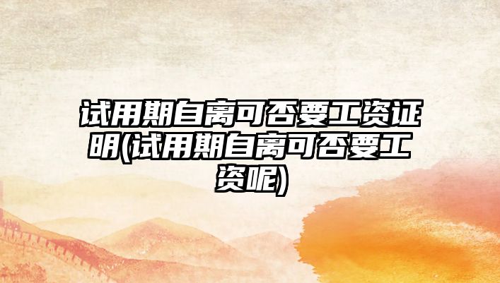 試用期自離可否要工資證明(試用期自離可否要工資呢)