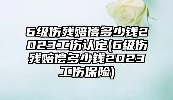 6級傷殘賠償多少錢2023工傷認定(6級傷殘賠償多少錢2023工傷保險)