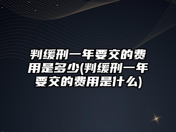 判緩刑一年要交的費用是多少(判緩刑一年要交的費用是什么)