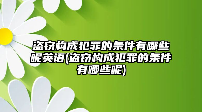 盜竊構成犯罪的條件有哪些呢英語(盜竊構成犯罪的條件有哪些呢)