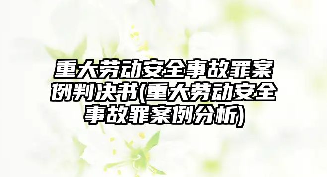 重大勞動安全事故罪案例判決書(重大勞動安全事故罪案例分析)