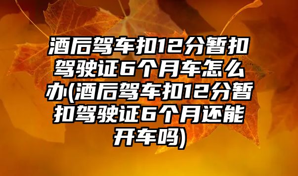 酒后駕車扣12分暫扣駕駛證6個月車怎么辦(酒后駕車扣12分暫扣駕駛證6個月還能開車嗎)