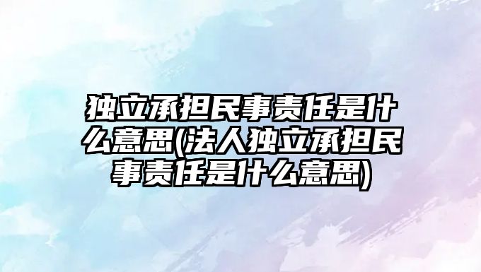 獨立承擔民事責任是什么意思(法人獨立承擔民事責任是什么意思)