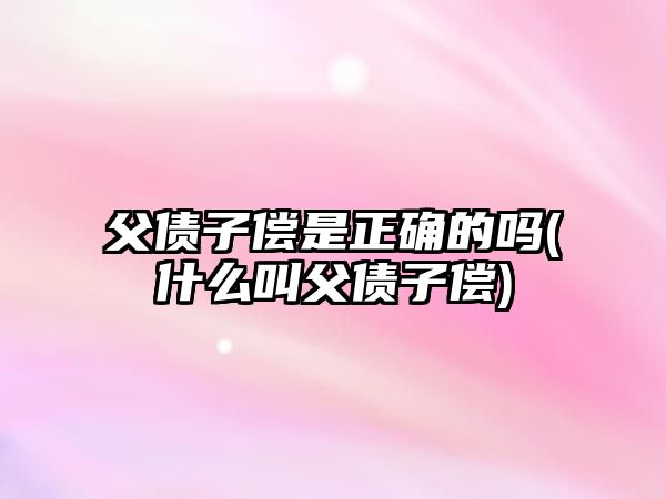 父債子償是正確的嗎(什么叫父債子償)