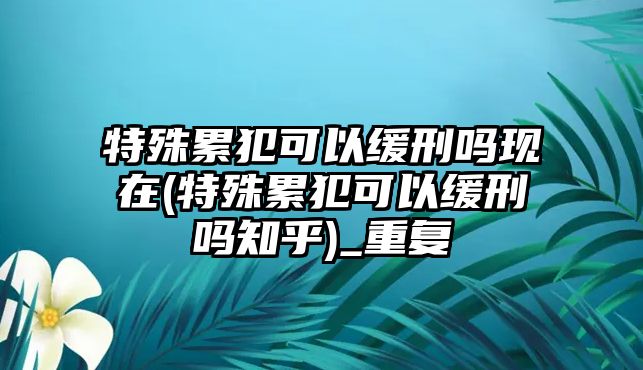 特殊累犯可以緩刑嗎現在(特殊累犯可以緩刑嗎知乎)_重復