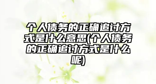 個人債務的正確追討方式是什么意思(個人債務的正確追討方式是什么呢)