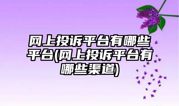 網上投訴平臺有哪些平臺(網上投訴平臺有哪些渠道)