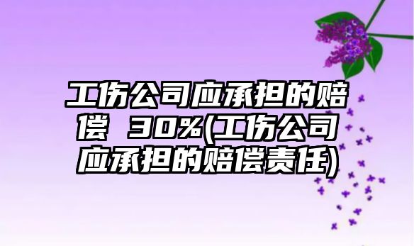 工傷公司應承擔的賠償 30%(工傷公司應承擔的賠償責任)