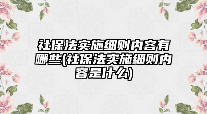 社保法實施細則內(nèi)容有哪些(社保法實施細則內(nèi)容是什么)