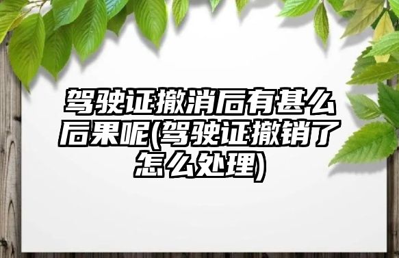 駕駛證撤消后有甚么后果呢(駕駛證撤銷了怎么處理)